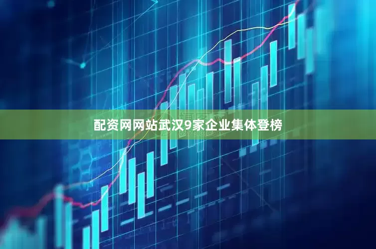 配资网网站武汉9家企业集体登榜